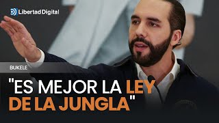 Bukele describe a la perfección el Gobierno de Sánchez quotEs mejor la ley de la junglaquot [upl. by Ilka]