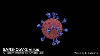 Coronavirus Spike Protein Images and Movies [upl. by Esirahc]