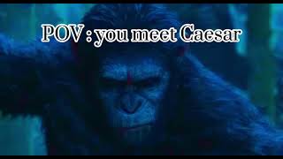 POV  you meet Caesar war for the planet of the apes￼ [upl. by Dickey]