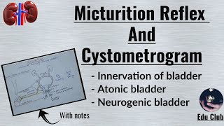 Micturition reflex  Cystometrogram  Renal physiology [upl. by Duffie]