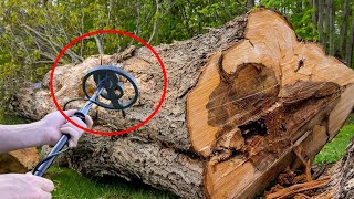 Metal Detector Beeps as Man Scans a Tree – Turns Pale After Breaking It Open [upl. by Animsaj]