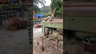 Gene The Bear Helping Darnell Farm Clean up from Hurricane Helene [upl. by Curcio]