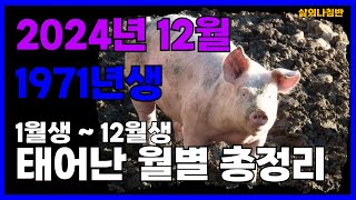 1971년생 12월 돼지띠 이번 달 대운을 잡아라 인생 역전의 달 돼지띠12월운세 71년생12월운세 71년12월운세 [upl. by Wilber259]