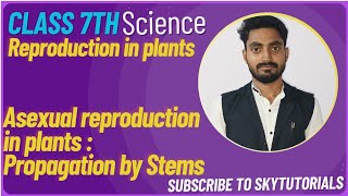 Reproduction in Plants Asexual reproduction in plants Propagation by stems runner stolon offset [upl. by Immot651]