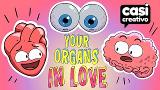 Your Organs When You Are In Love [upl. by Boser]