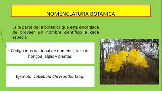 Nomenclatura Botánica [upl. by Rorie]