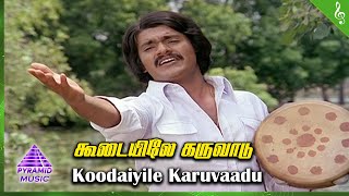 Oru Thalai Ragam Movie Songs  Koodaiyile Karuvaadu Video Song  Shankar  Roopa  T Rajendar [upl. by Ennyrb]