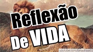 Belas Frases DE REFLEXÃO DE VIDA [upl. by Berneta369]