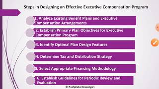 Executive Compensation amp Wage Differentials [upl. by Lahey]