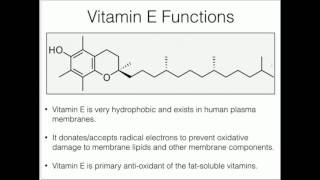 Vitamin E Antioxidant Function [upl. by Grous]