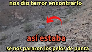 mis aventuras del oeste 381 encontramos esto en el desierto se nos pararon los pelos de punta [upl. by Harrison]