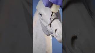 Sculpting horses from clay as beginners full video on my channel horsesculpting shorts [upl. by Diet]