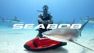 Sharks love Seabob [upl. by Midge]