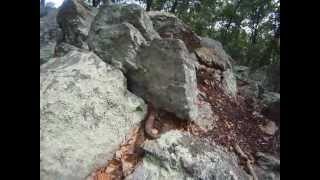 COPPERHEAD on the Appalachian Trail [upl. by Carnahan]