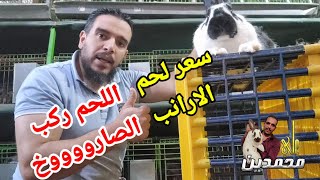 سعر لحم الارانب ركب الصاروخ اعرف هتبيع بكام [upl. by Ardnek789]