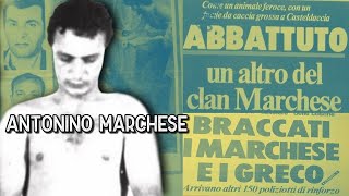 Antonino Marchese  Spezzoni Processi [upl. by Coughlin]