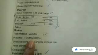 My Pregnancy Scan Report in Tamil  Posterior Placenta [upl. by Prent]