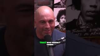 Joe Rogan and Kevin Smith on Quentin Tarantino joerogan kevinsmith quentintarantino [upl. by Adeehsar719]