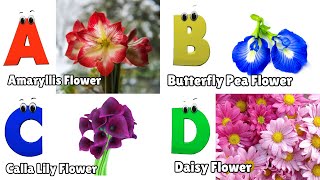 Flowers ABC Song for Kids  Phonics for Kids  English Alphabet Letters [upl. by Merlina]