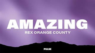 Rex Orange County  AMAZING [upl. by Sirrom24]