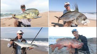 Cabos Surf Fishing Seasons [upl. by Phene650]