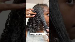 HYDRATED HAIR naturalhair 4chair 4bhair 4typehair blackgirlhair [upl. by Eanat]