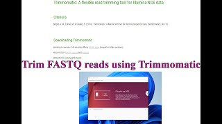 How to remove adapter from your sequences using Trimmomatic [upl. by Sybyl]