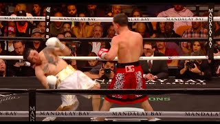 TKO Highlight  Danny Garcia vs Brandon Rios [upl. by Sparrow280]