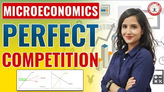 Microeconomics Perfect Competition Explained in Simple Terms COACHING IN CHANDIGARH competitionguru [upl. by Hetti210]