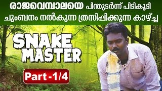 Vava Suresh Snake Master 17032016 Part 01  KING COBRA on loose  Kaumudy TV [upl. by Hesky]