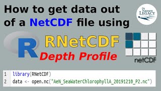 How to get data out of a NetCDF file using R depth profile [upl. by Anrahs]