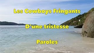 Les Cowboys Fringants  Dune tristesse paroles [upl. by Vernen]