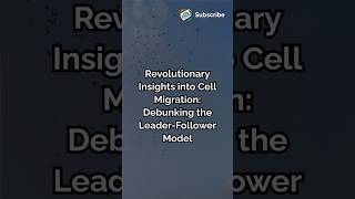 Revolutionary Insights into Cell Migration Debunking the Leader Follower Model science ytshorts [upl. by Agretha]