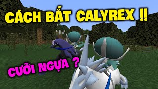 Cách bắt Calyrex Spectrier Glastrier và kết hợp chúng trong Pixelmon 1165 [upl. by Aileduab763]