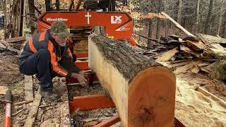 RED OAK FOR A WORK BENCH [upl. by Anauqaj849]