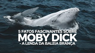 5 Fatos Fascinantes sobre Moby Dick – A Lenda da Baleia Branca [upl. by Assisi]