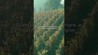 Hymne de la Bourgogne  Paroles [upl. by Also738]