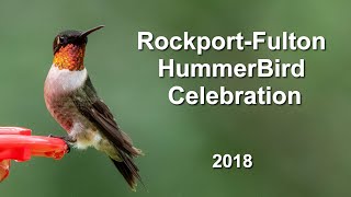 Rockport Hummingbird Festival Welcome Back Rubythroated Hummingbirds  2018 [upl. by Grenville678]