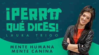 ¡PERRO QUÉ DICES Mente humana mente canina  Dial Podcast [upl. by Rayner]