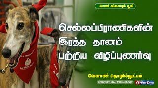 Blood Transfusion in Dogs  செல்லப்பிராணிகளின் இரத்த தானம் பற்றிய விழிப்புணர்வு [upl. by Isadora621]