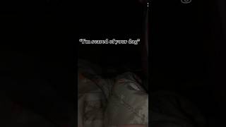 She is a love bug🩷🐞 dog cutedog doglover funny viral aussiedor fyp [upl. by Suedama]