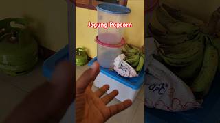 Jagung Popcorn Jumbo Mushroom dan Butterfly [upl. by Antony942]