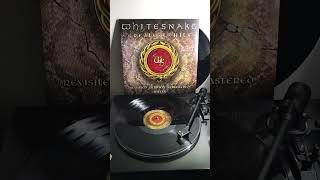 Whitesnake  Is This Love 1987 2022 Remix [upl. by Alinna]