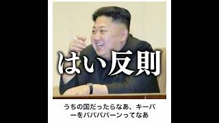 【即帰国】金正恩の殿堂入りボケてがマジでツッコミどころ満載だったwww 【1366弾】 [upl. by Bonnice]