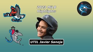 Javier Sanoja Full 2023 Season Highlights [upl. by Aleak451]