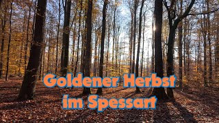 Goldene Herbstwanderung im Spessart [upl. by Twum]