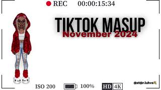 TikTok Mashup Nov2024trip out editionclean💋🥀🍓 [upl. by Imotih]