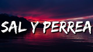 Sech  Sal y Perrea LyricsLetras [upl. by Orlosky]