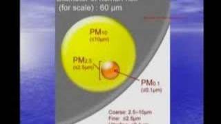 Il particolato e le nanoparticelle Morire a norma di legge [upl. by Adnama674]