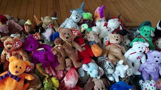 My Beanie Baby Collection Updated [upl. by Dnumde534]